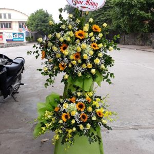 Hoa Khai Trương KT01
