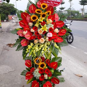 Hoa Khai Trương KT29