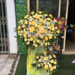 Hoa khai trương KT31